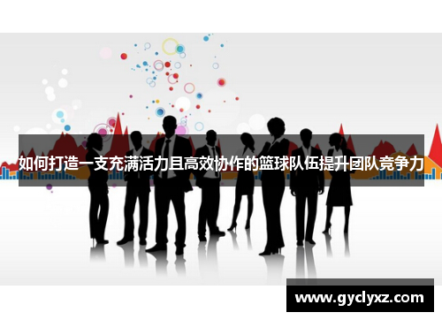 如何打造一支充满活力且高效协作的篮球队伍提升团队竞争力